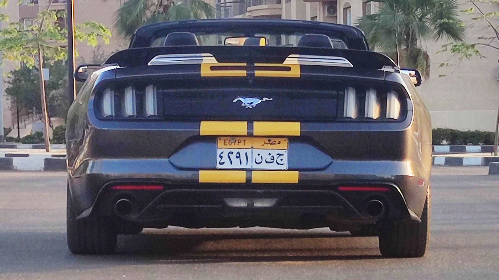 Mustang ecoboost premium 2019